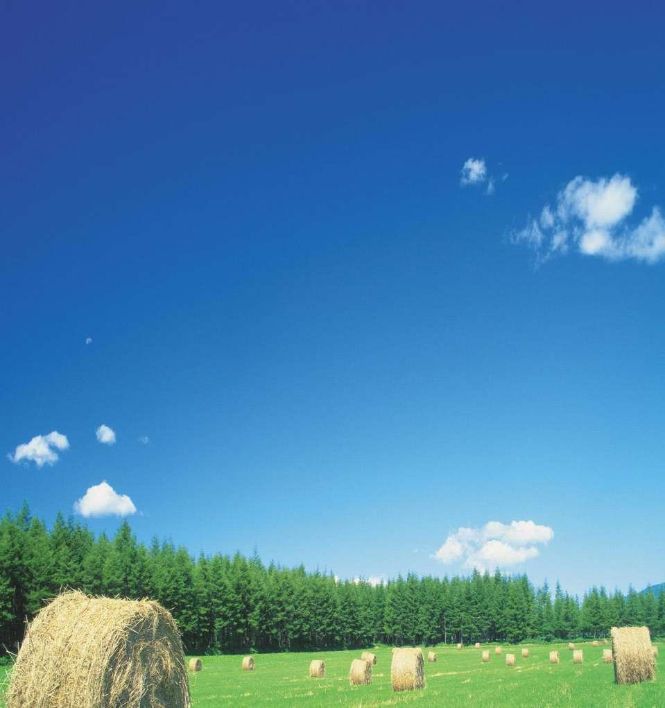 Blue sky over a green field with hay bales